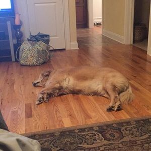 Meet your Posher, Scott